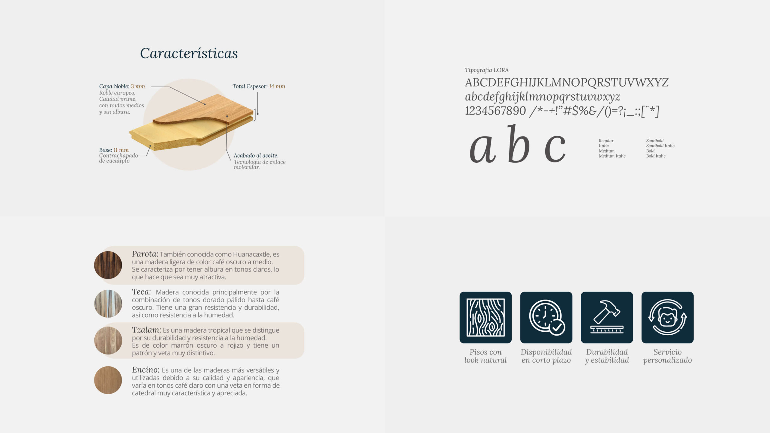 cortexza_05_portafolios_2024