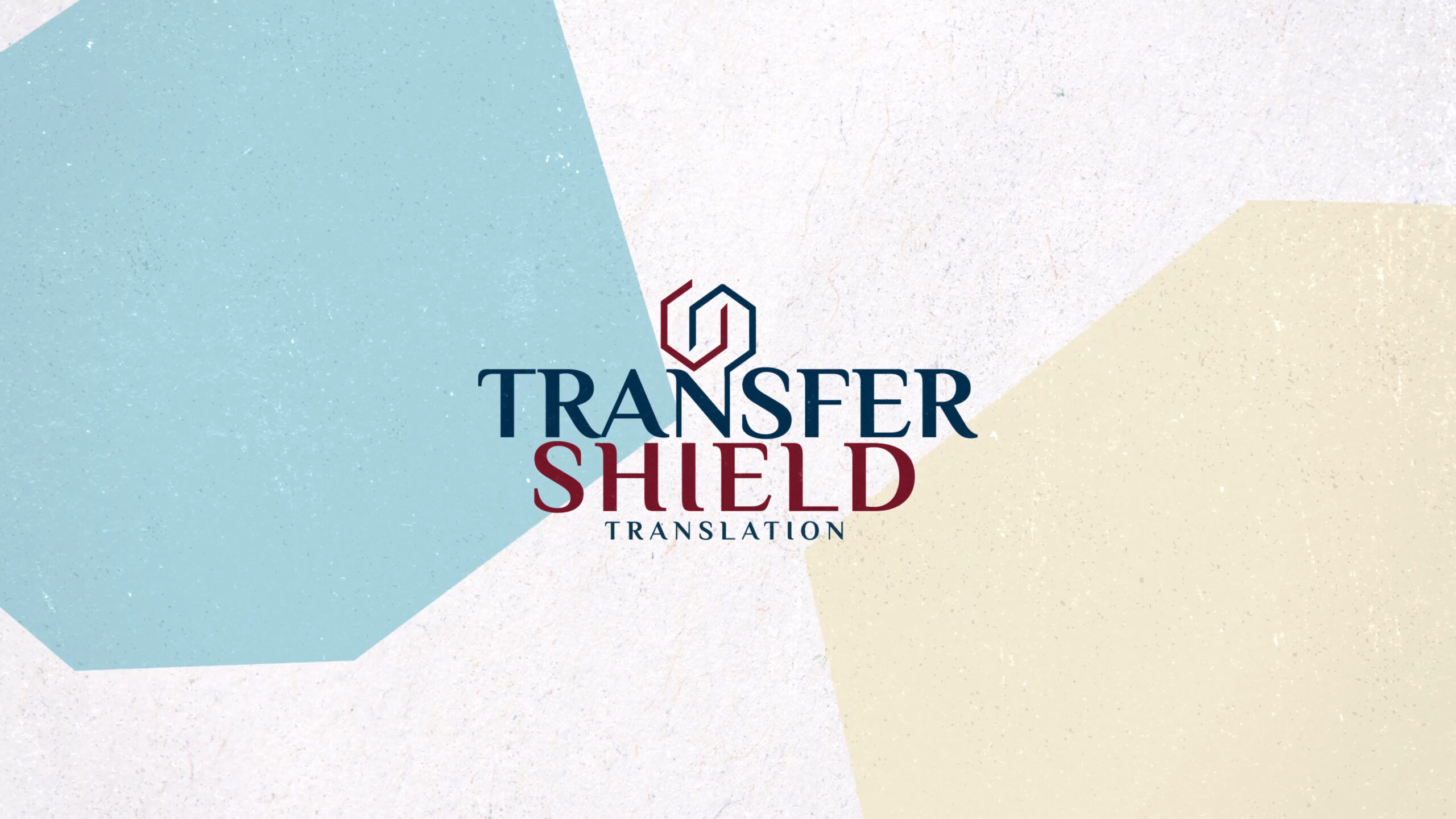 001_video_tranfershield (0-00-01-21)